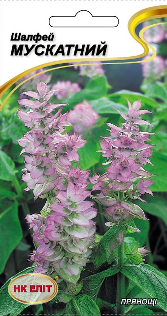 Herb seeds: Clary sage, 0.2 g