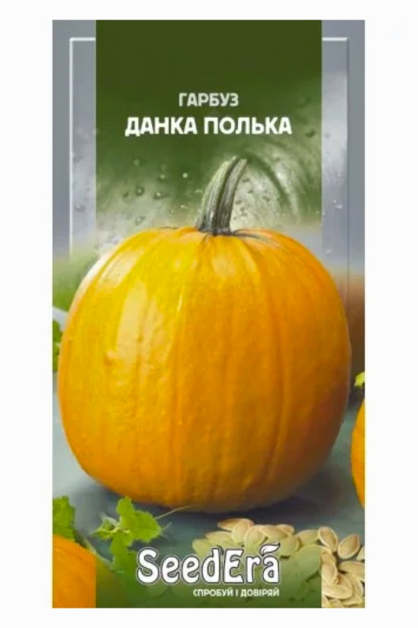 Насіння гарбуза Данка Полька, 10 шт, Seedera | Семена тыквы Данка Полька, 10 шт, Seedera