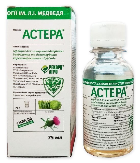 Aster 75 ml