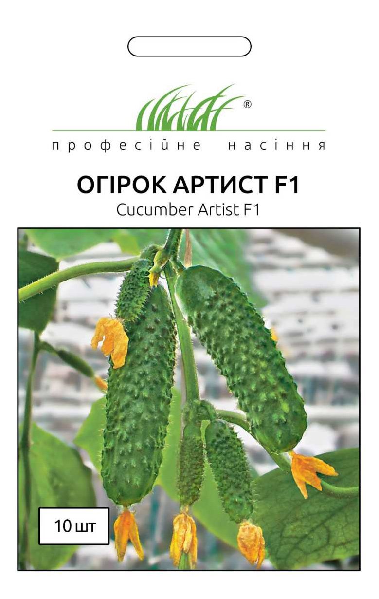 Artist F1 Cucumber Seeds, 10 seeds Bejo Zaden (Netherlands)