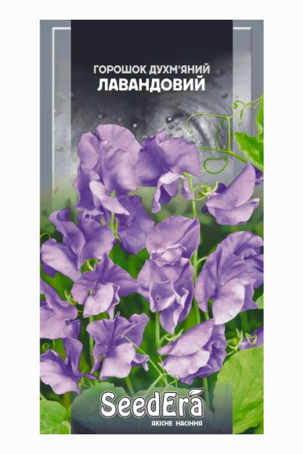 Fragrant Lavender Polka Dot Flower Seeds, 1 g, Seedera