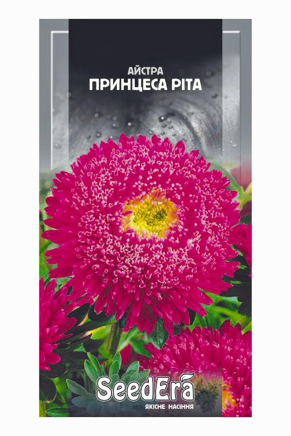Aster Princess Rita Flower Seeds, 0.25 g, Seedera