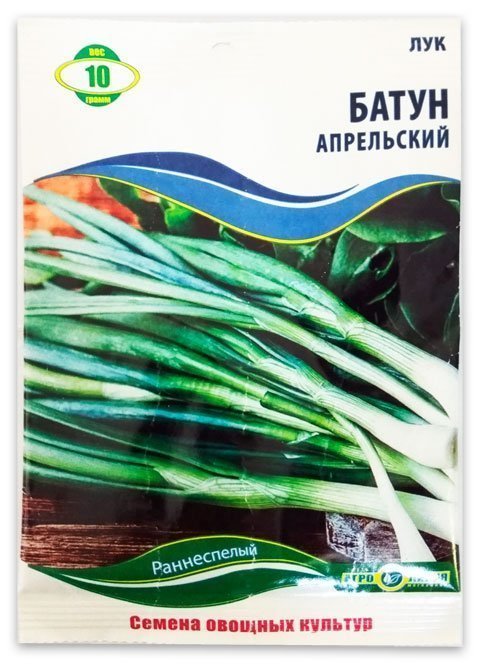 April Spring Onion Seeds, 10 g