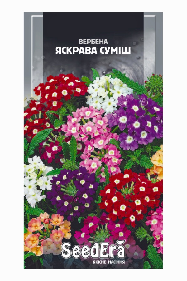 Насіння квітів Вербена Яскрава Суміш, 0.2 г, Seedera | Семена цветов Вербена Яркая Смесь, 0.2 г, Seedera