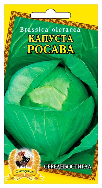 Rosava Cabbage Seeds, 1 g