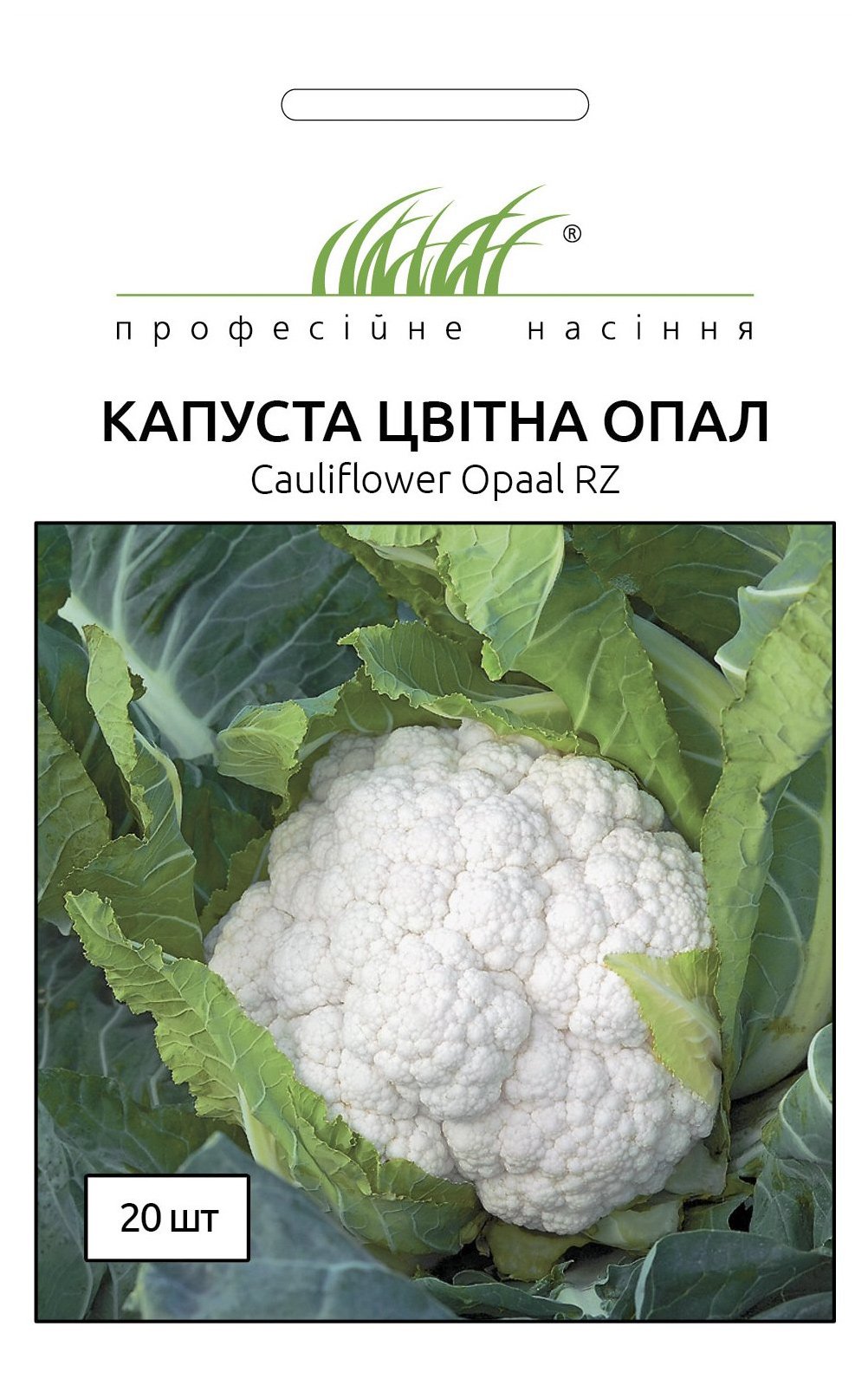 Насіння капусти Опал, 20 насінин Rijk Zvaan (Голландія) | Семена капусты Опал, 20 семян Rijk Zvaan (Голландия)