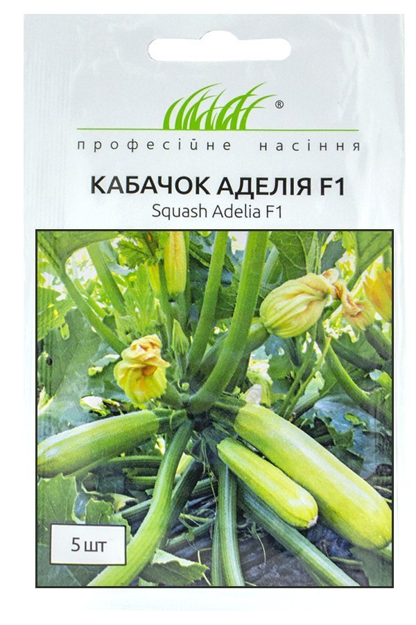 Adelia F1 zucchini seeds, 5 seeds, Enza Zaden (Netherlands)
