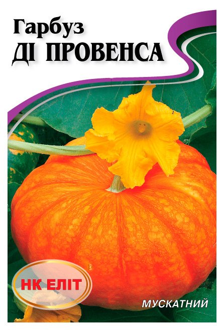 Насіння гарбуза Ді Провенса, 10 г