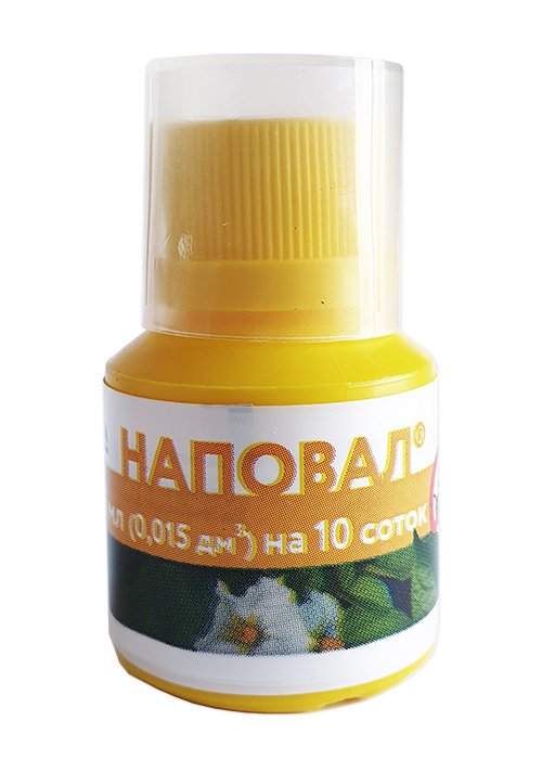 Napoval 15 ml