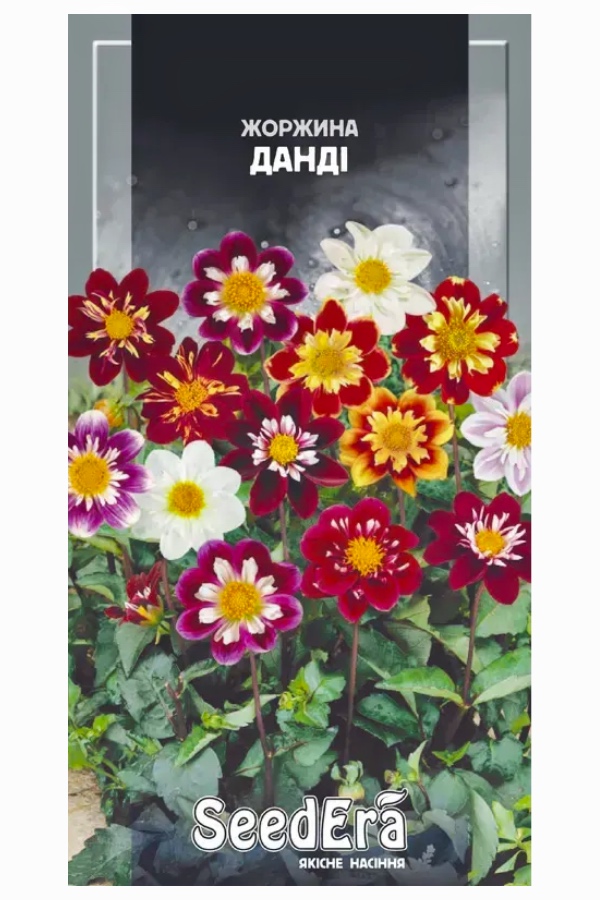 Семена цветов Георгина Данди Смесь, 0.5 г, Seedera