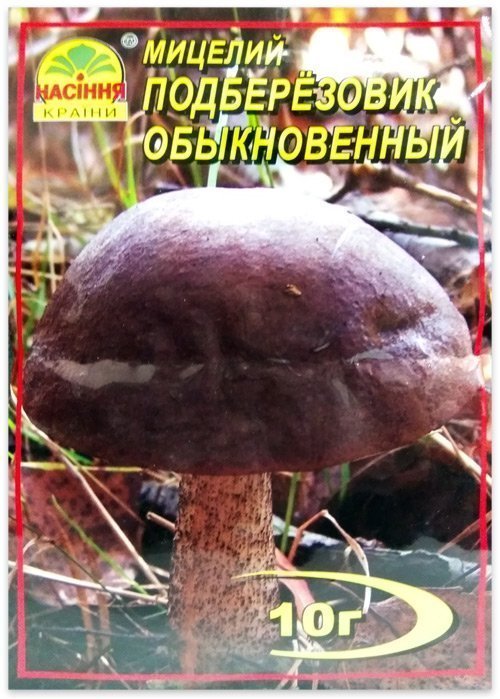 Мицелий гриба Подберезовик Обыкновенный, 10 г