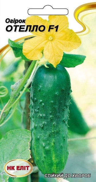 Othello F1 cucumber seeds, 20 pcs