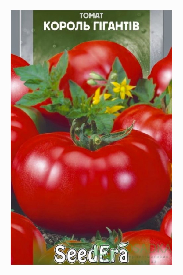 King of Giants Tomato Seeds, 0.1 g, Seedera