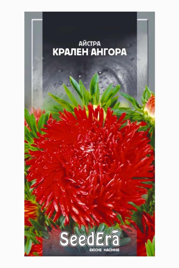 Семена цветов Астра Крален Ангора, 0.25 г, Seedera
