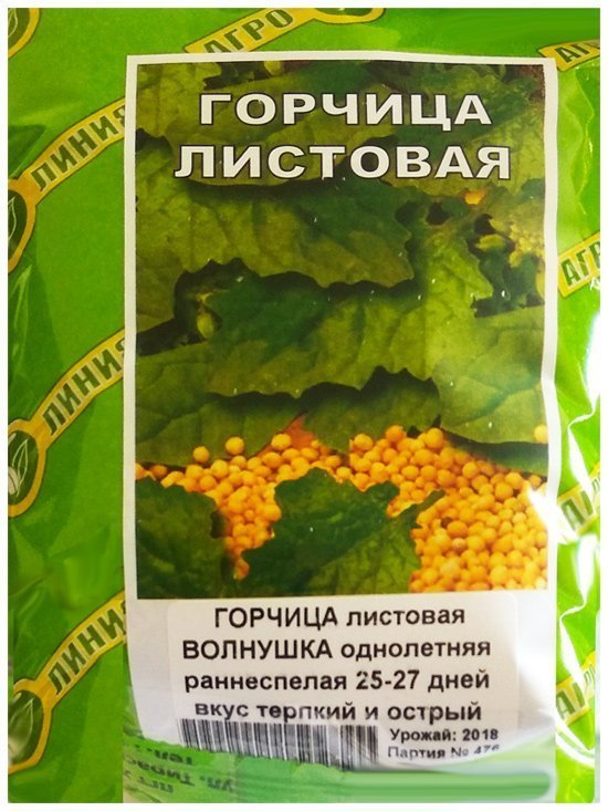 Sheet mustard, 1 kg