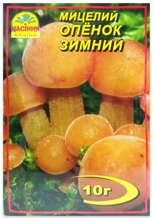 Мицелий гриба Опенок Зимний, 10 г