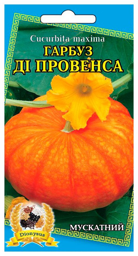 Семена тыквы Ди Провенса, 10 шт