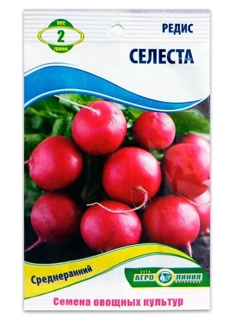 Насіння редиски Селеста, 2 г. | Семена редиса Селеста, 2 г.