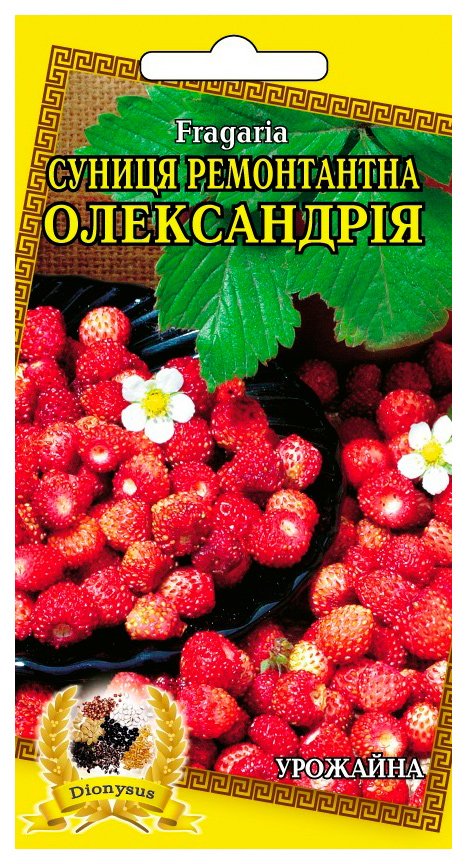 Alexandria remontant strawberry seeds, 0.1 g