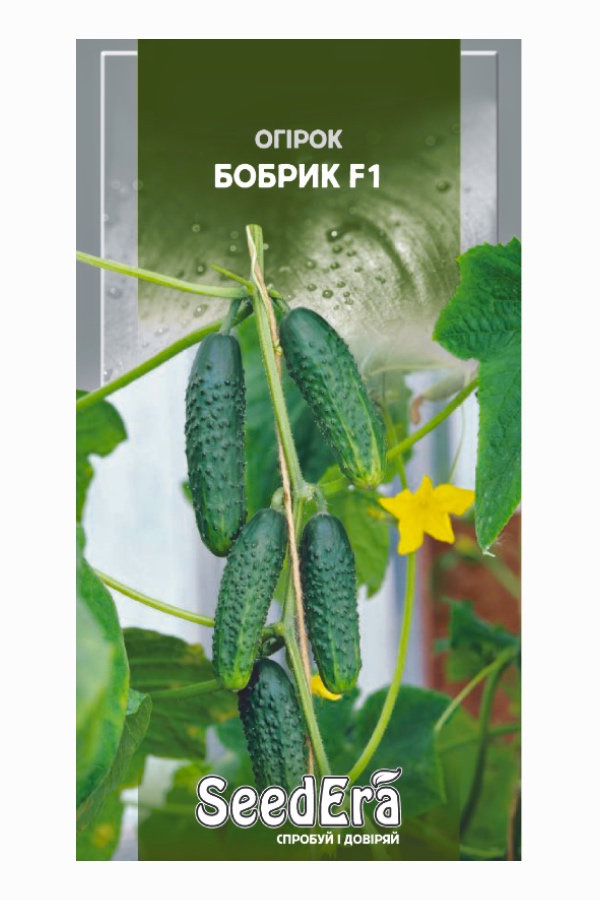 ������ ����� ������ F1, 10 ��, Seedera | ������ ������ ������ F1, 10 ��, Seedera