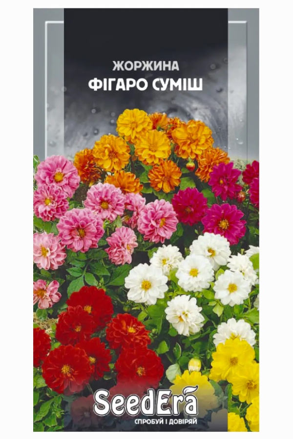 Семена цветов Георгина Фигаро Смесь, 0.5 г, Seedera