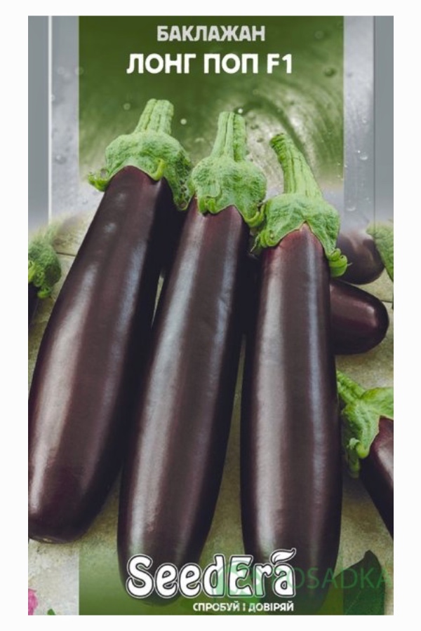 Long Pop F1 Eggplant Seeds, 0.3 g, Seedera