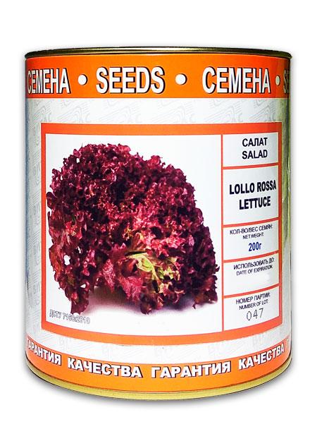 Lollo Rosso lettuce seeds, coated, 200 g