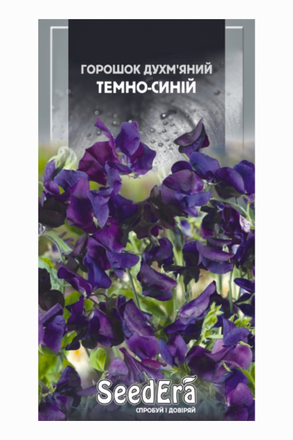 Насіння квітів Горошок Духмяний Темно-Синій, 1 г, Seedera | Семена цветов Горошек Душистый Темно-Синий, 1 г, Seedera