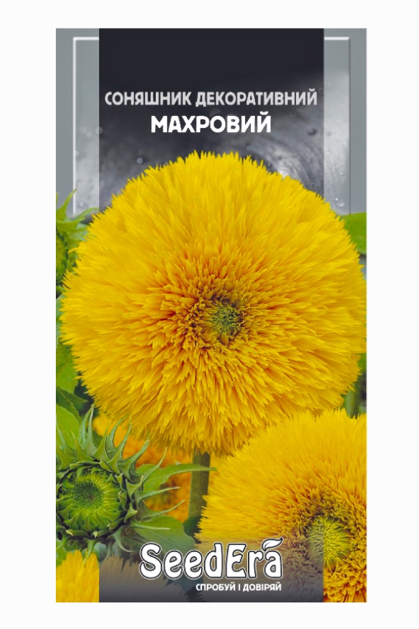 Flower Seeds: Decorative Double Sunflower, 1 g, Seedera