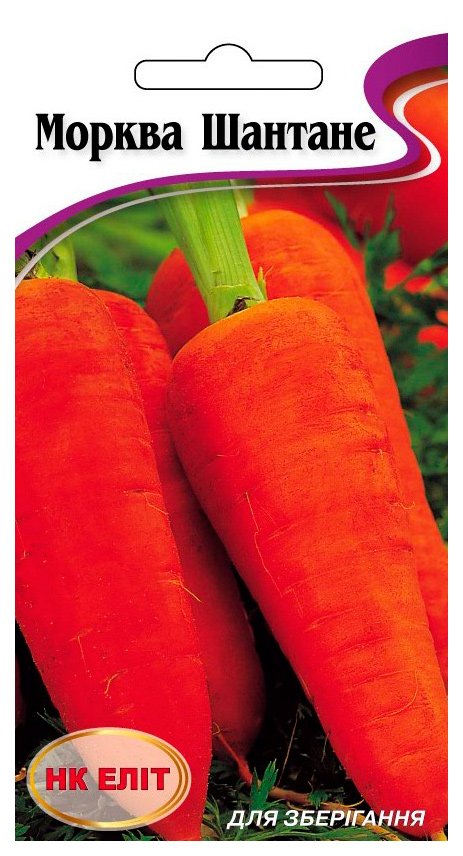 Shantane Skvyrska Carrot Seeds, 2 g