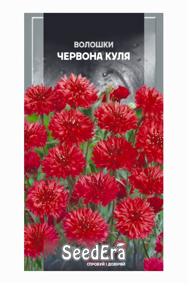 Cornflower Red Ball Flower Seeds, 0.5 g, Seedera