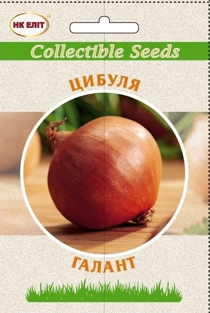 Galant onion seeds, 10 g