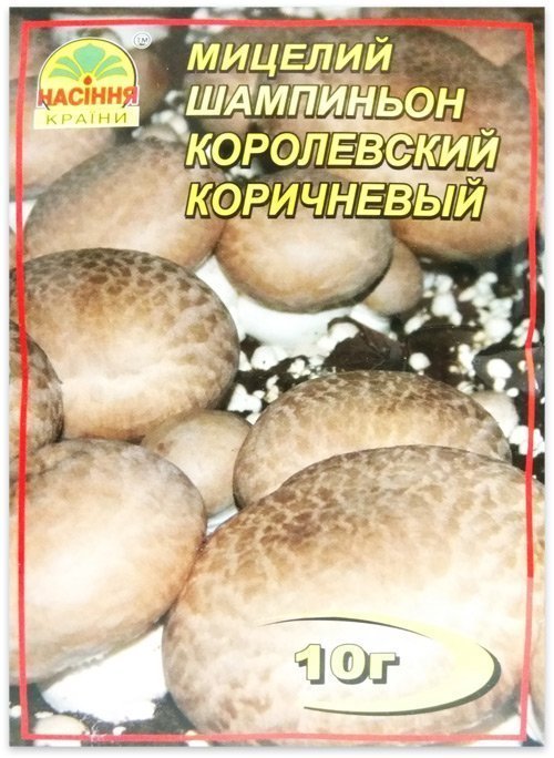 Royal Brown Champignon Mushroom Mycelium, 10 g