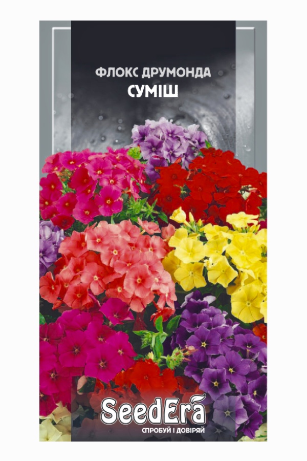 Насіння квітів Флокс Друмонда Суміш, 0.2 г, Seedera | Семена цветов Флокс Друмонда Смесь, 0.2 г, Seedera