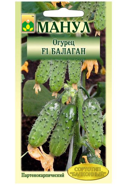 Balagan F1 Cucumber Seeds, 10 seeds