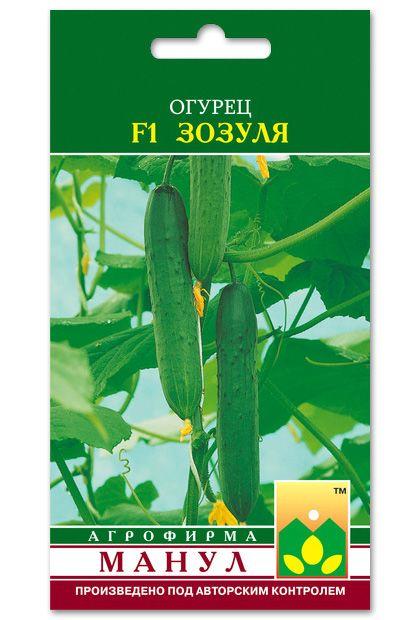 Zozulya F1 Cucumber Seeds, 12 seeds
