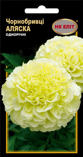 Alaska Marigold Flower Seeds, 0.3 g