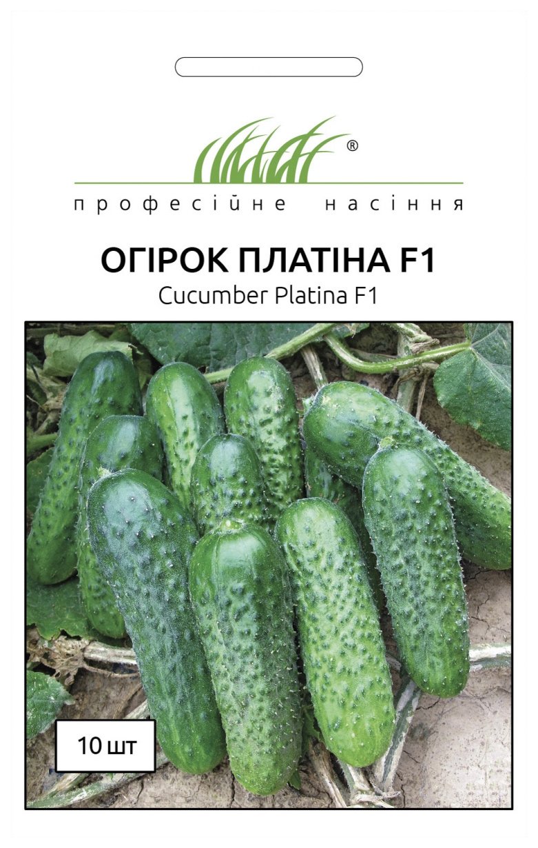 Platinum F1 Cucumber Seeds, 10 seeds, Nunhems Zaden (Netherlands)
