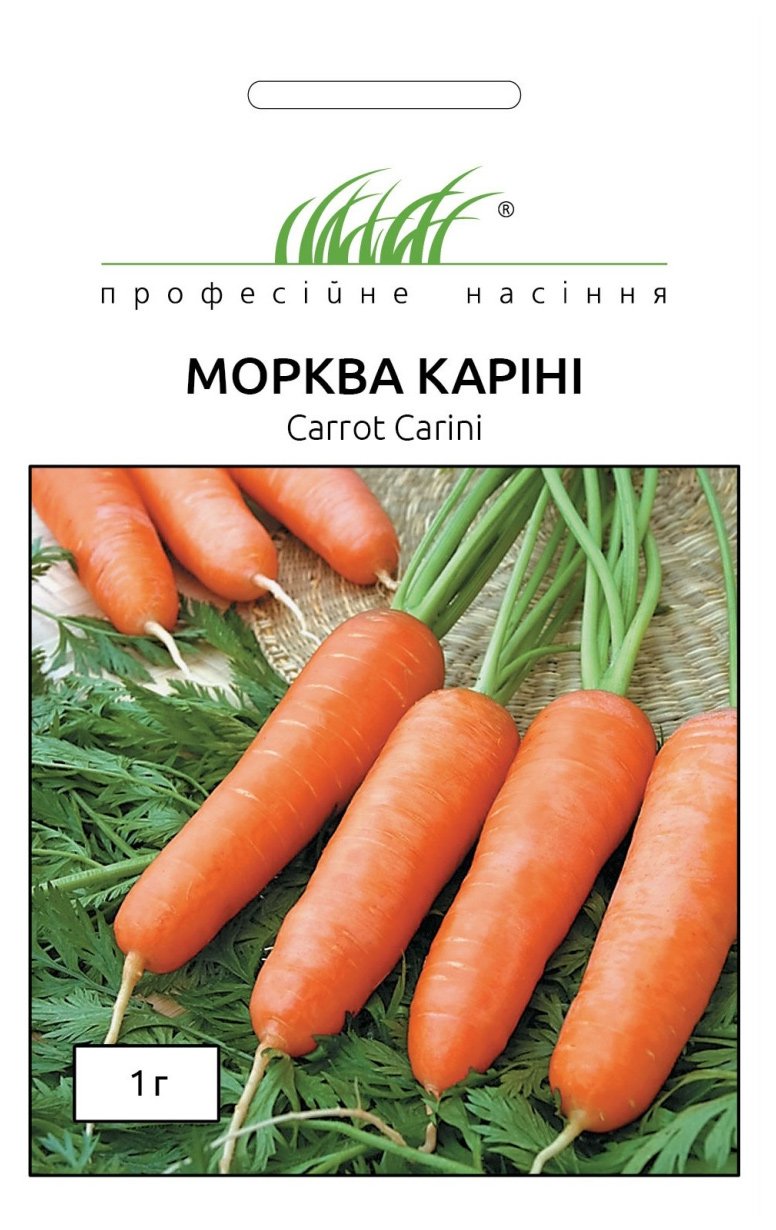 Karini Carrot Seeds 1 g Bejo Zaden (Netherlands)