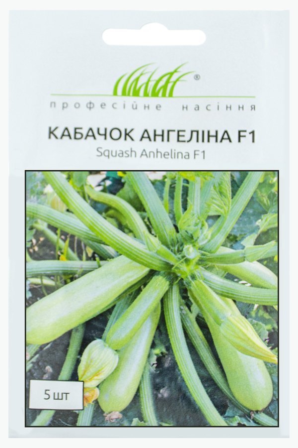 Angelina F1 zucchini seeds, 5 seeds, Syngenta (Netherlands)