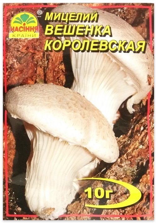 Oyster mushroom mycelium, 10 g