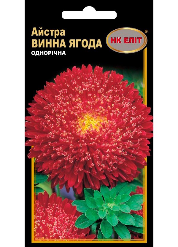 Семена цветов Астра Винная Ягода, 0.3 г