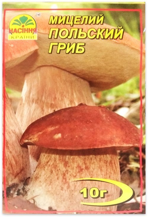 Polish Mushroom mycelium, 10 g