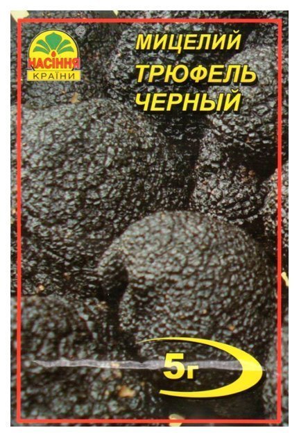 Black Truffle Mushroom Mycelium, 5 g