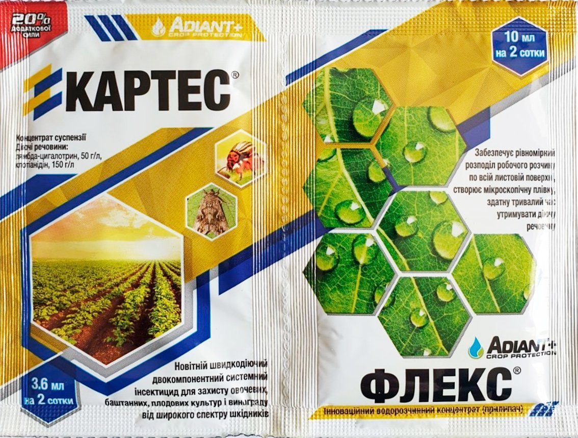 Cartes 3.6 ml plus Adhesive 10 ml