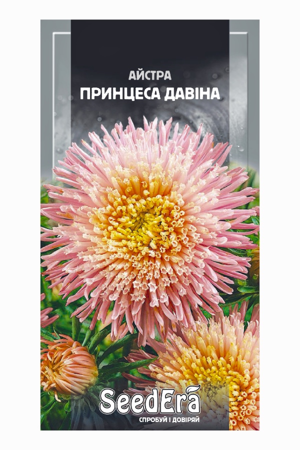 Aster Princess Davina Flower Seeds, 0.25 g, Seedera