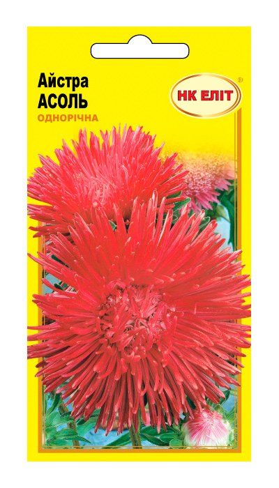 Aster Assol flower seeds, 0.3 g