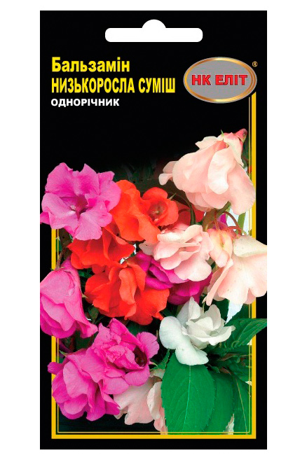 Balsam Flower Seeds, Low-Growth Mix, 0.5 g