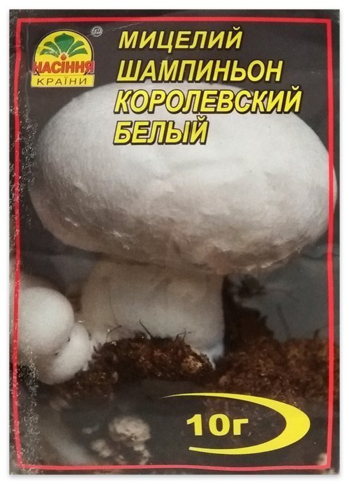 Royal White Button Mushroom Mycelium, 10 g