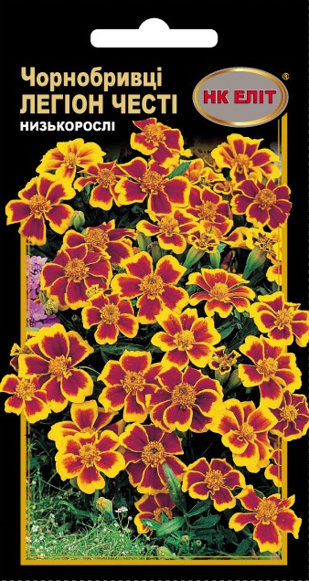 Насіння квітів Чорнобривці Легіон Честі, 0.5 г | Семена цветов Бархатцы Легион Чести, 0.5 г